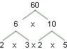 factor tree